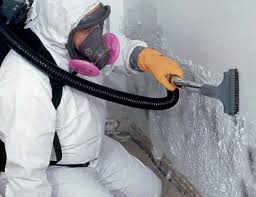 Why You Should Choose Our Mold Remediation Services in Richville, OH